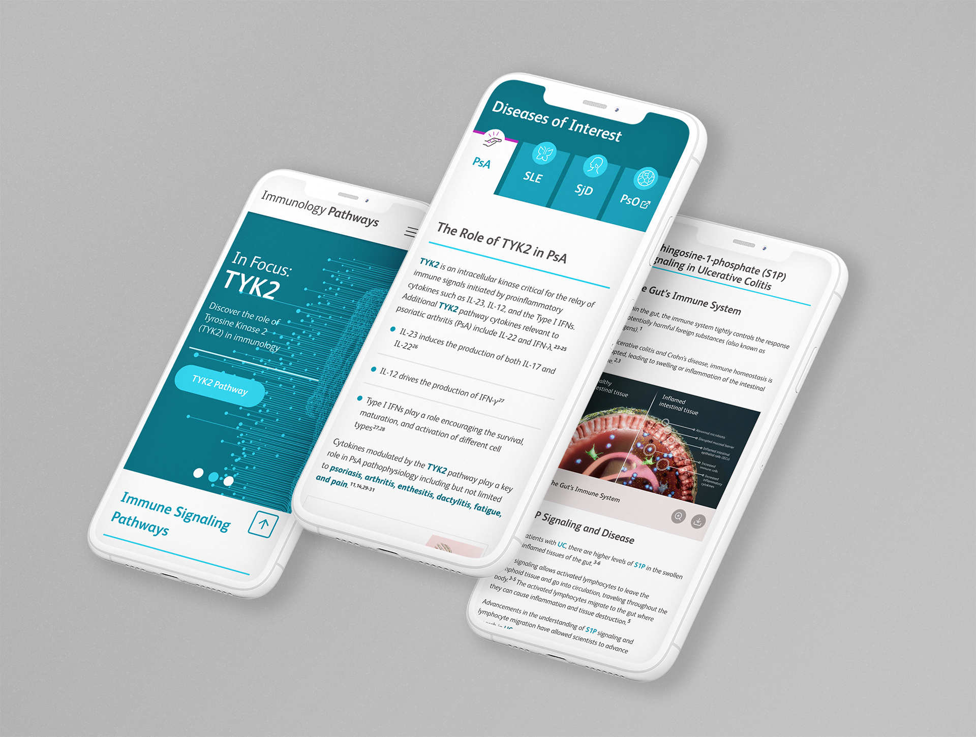 Multi-brand PSP framework visualization
